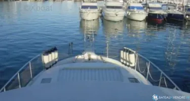 Astondoa  50 GL