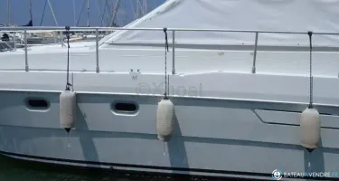 Raffaelli Typhoon