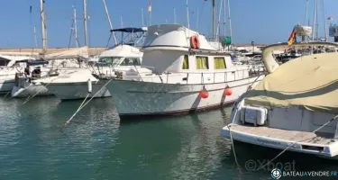 Cheoy Lee Trawler