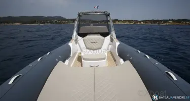 Salpa Soleil 26