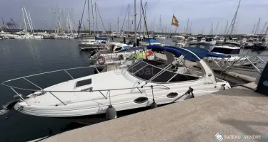 Sea Ray  315 Sundancer