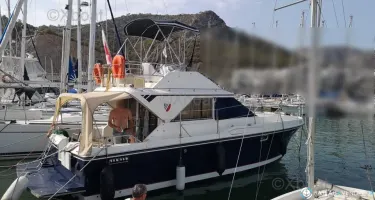 Fairline Targa 31