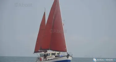 Colvic Craft Colvic 34.6