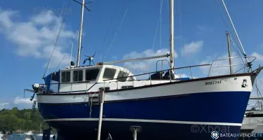 Colvic Craft Colvic 34.6