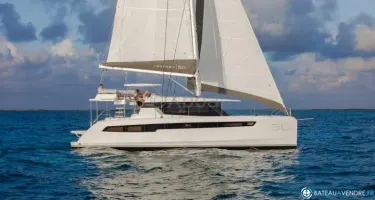 Robertson And Caine Leopard 50