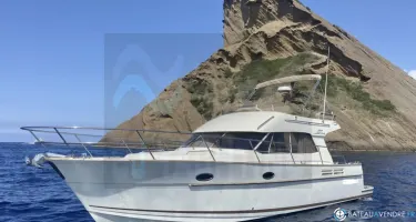 ACM Excellence 38