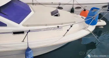 Rodman  900 Fly