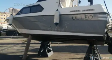 Bayliner Cierra 2452