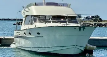 ACM Excellence 38