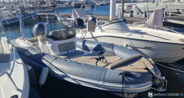 Salpa Soleil 23