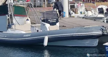 Salpa Soleil 20