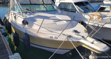 Wellcraft Coastal 290