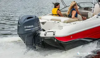 Yamaha YAMAHA F115XB