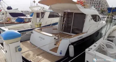 Sessa Marine Dorado 36
