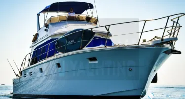 Hi Star  48 Fisherman