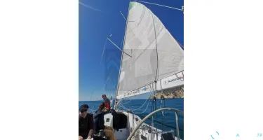Solaris  36