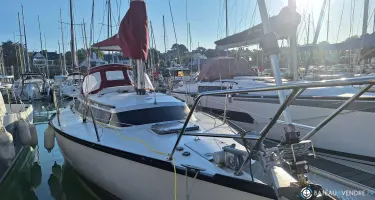 Dufour  3800