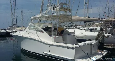 Luhrs  30