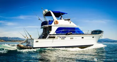 Hi Star  48 Fisherman