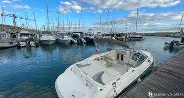 Stingray  225 CR