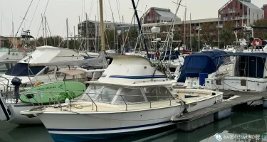 Bertram  31
