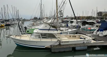 Bertram  31