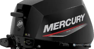 Mercury F15 4 temps