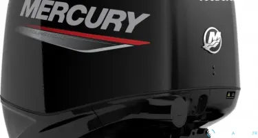 Mercury F40 4 temps