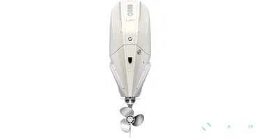 Moteur Mercury 250 cv efi V8