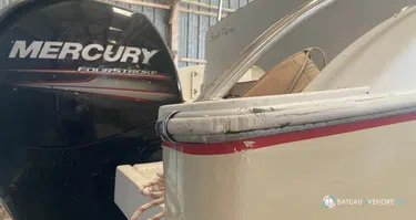 Pro Marine Belone 640 Sun Deck