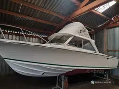 Bertram Riva 25