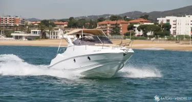 Salpa Laver 23 X