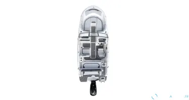 Bayliner M19