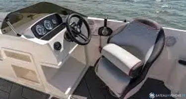 Bayliner M19
