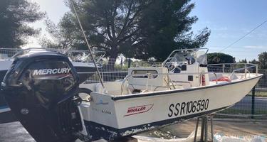 Boston Whaler  17 Montauk