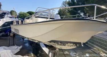 Boston Whaler  17 Montauk