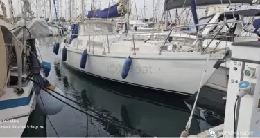 Amel Euros 41