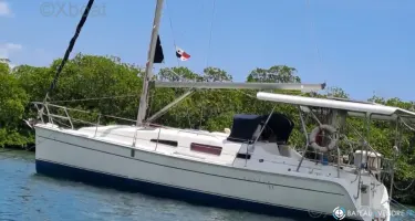 Hunter  33