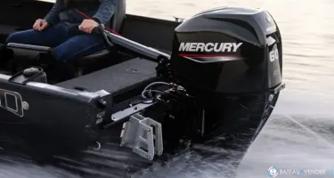 Fourstroke 60 CV EFI