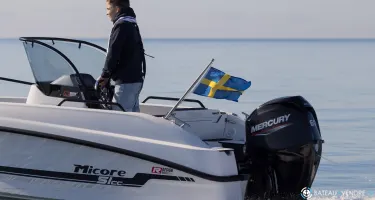 Fourstroke 60 CV EFI