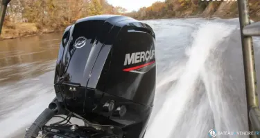 Fourstroke 80 CV EFI