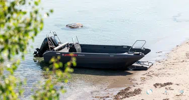 Fourstroke 80 CV EFI *Offre Remotorisation Dispo saison 2026  !!