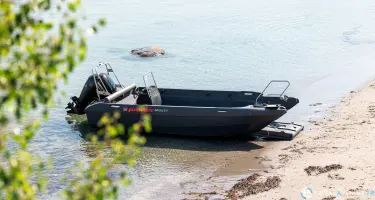 Fourstroke 80 CV EFI