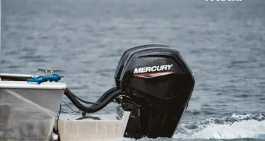 Fourstroke 115 CV EFI