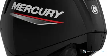 Fourstroke 115 CV EFI *Offre Remotorisation Dispo saison 2026 L-XL Std ou CT !!