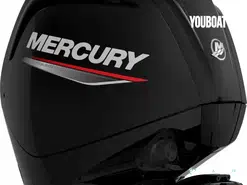 Fourstroke 115 CV EFI *Offre Remotorisation Mercury 2026*