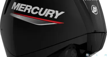 Fourstroke 115 CV EFI