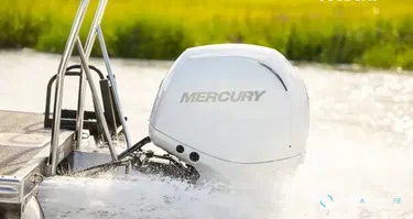 Fourstroke 150 CV EFI *Offre Remotorisation Dispo saison 2026 L-XL-CXL !!