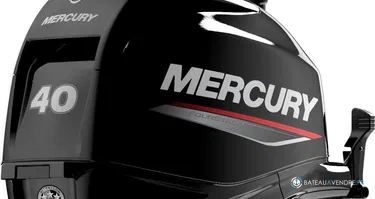 Fourstroke 40 CV EFI *Offre Remotorisation Dispo saison 2026 L-Std ou CT !!