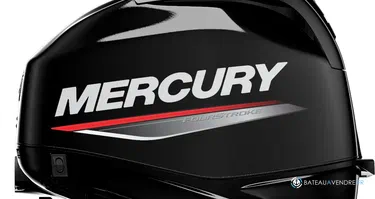 Fourstroke 40 CV EFI *Offre Remotorisation Dispo saison 2026 L-Std ou CT !!